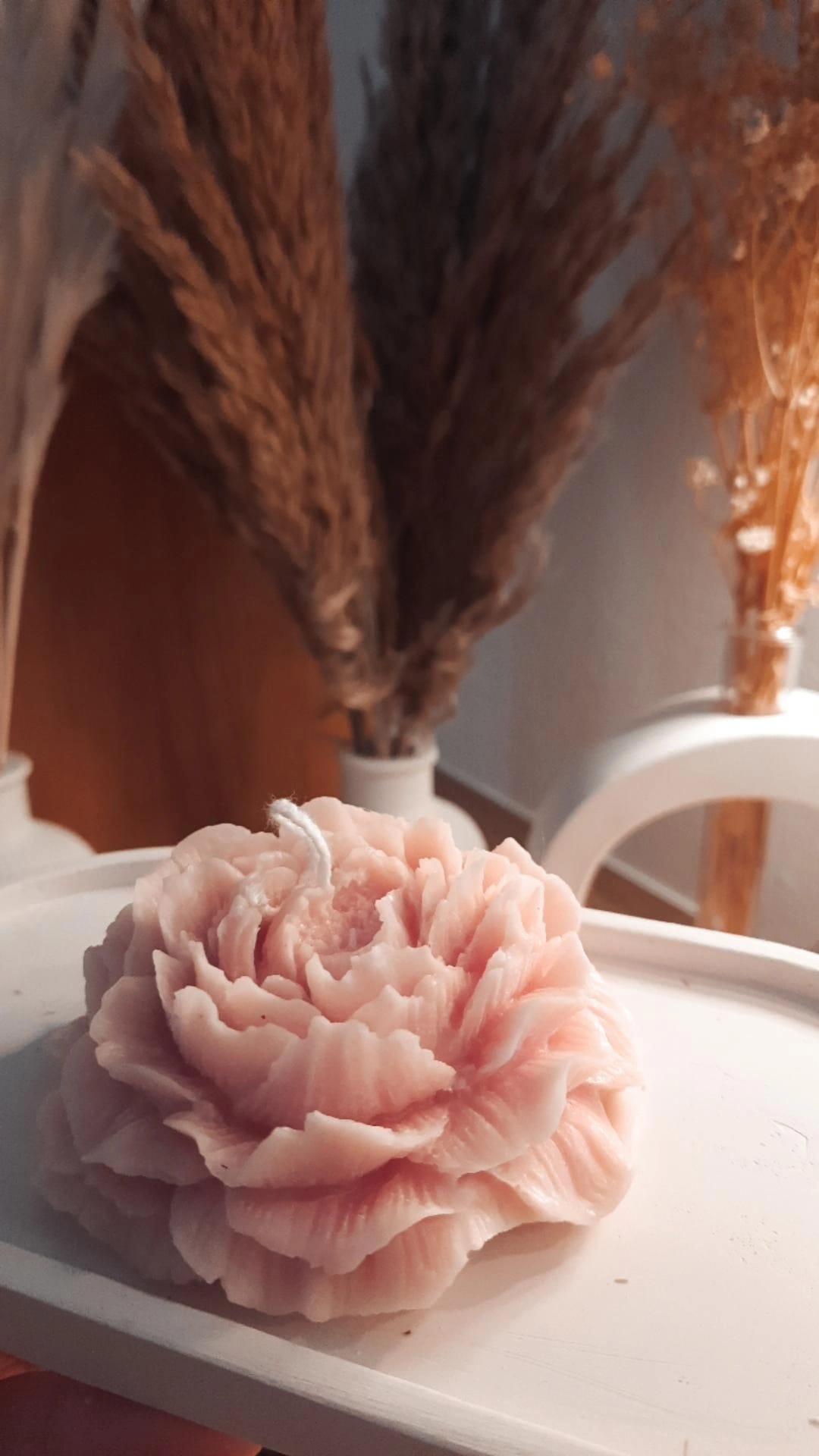 PEONIA APERTA/ CHIUSA