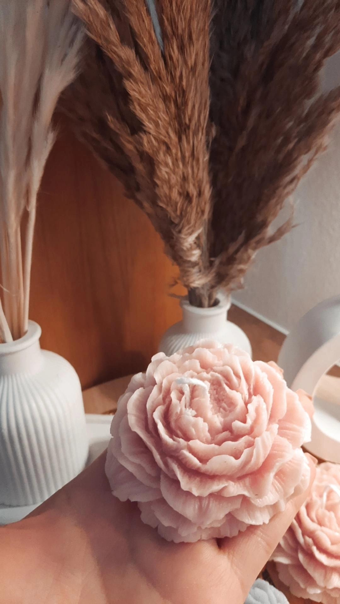 PEONIA APERTA/ CHIUSA