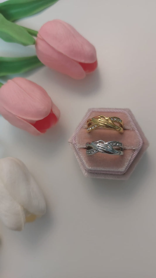 Anello Legame